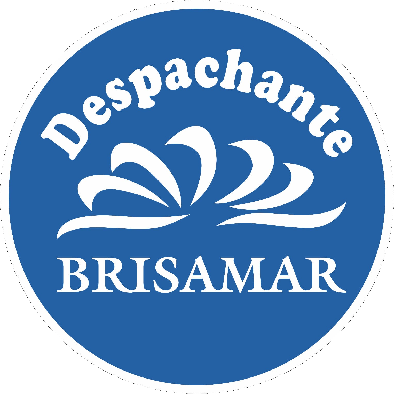 Logo Brisamar Despachante